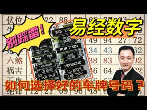 號碼好壞|數字吉兇查詢/號碼測吉兇（81數理）